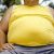 Lotta all’Obesità: in Veneto più di una persona su 10 è obesa, con un costo per il SSN di 670 milioni di euro all’anno
